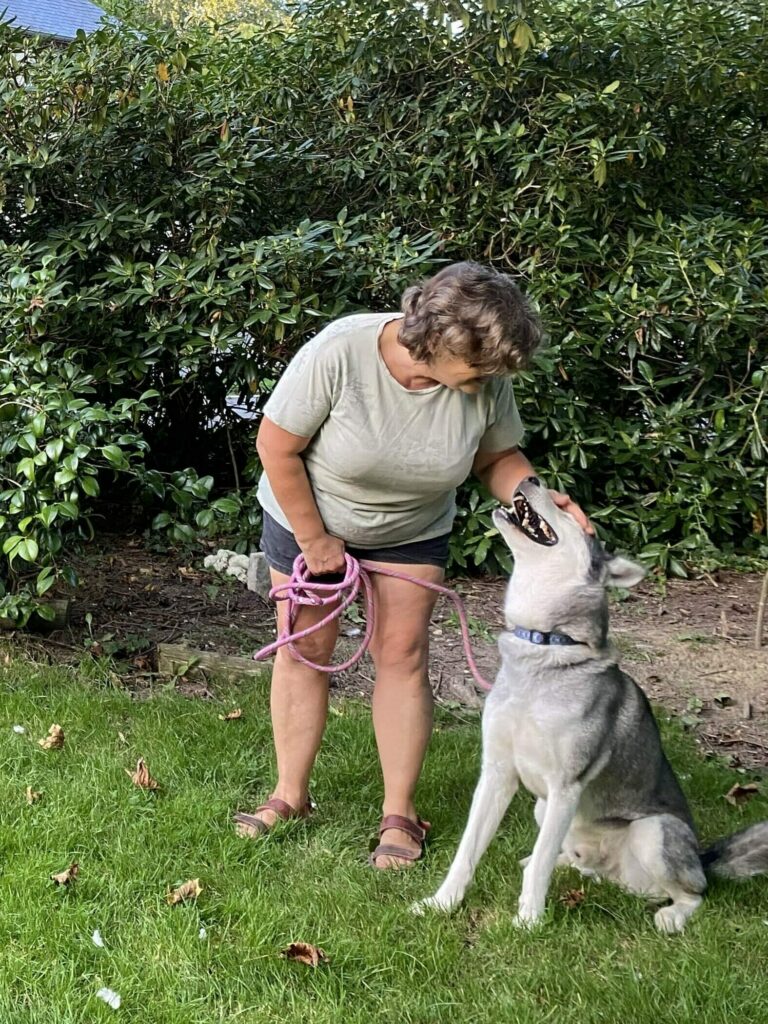 Valérie BEZIN en train d'éduquer un chien de race Husky. 